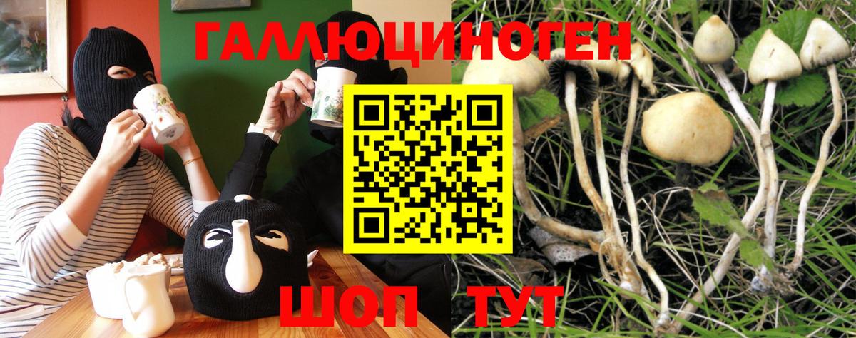Галлюциногенные грибы прущие грибы  где продают   Бирск  Вход с VPN 