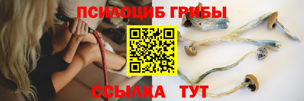Галлюциногенные грибы Magic Shrooms Бирск